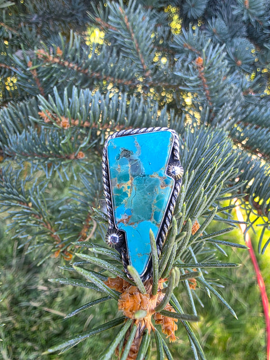 The Hellbent Ring