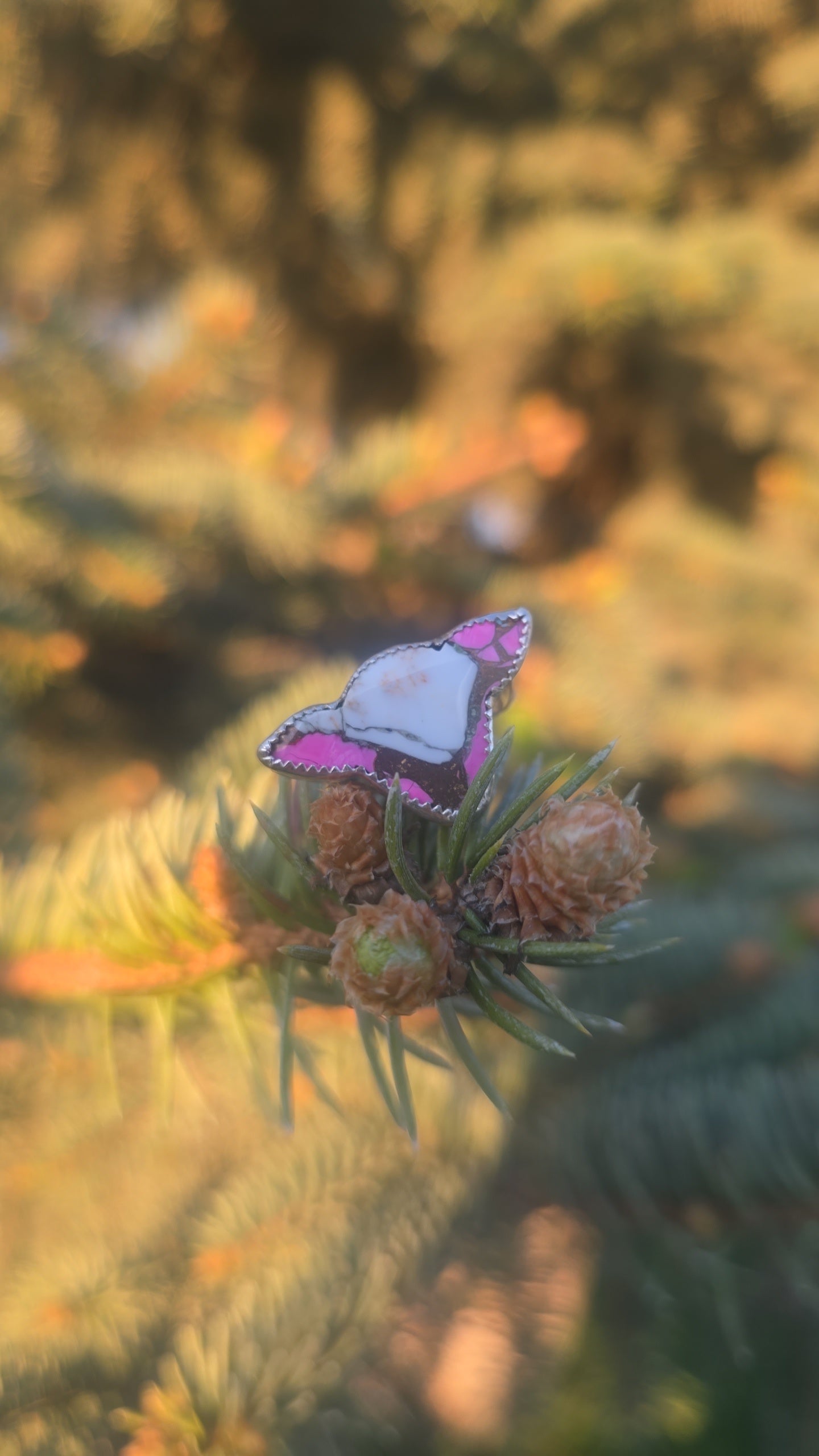 Pink Lady