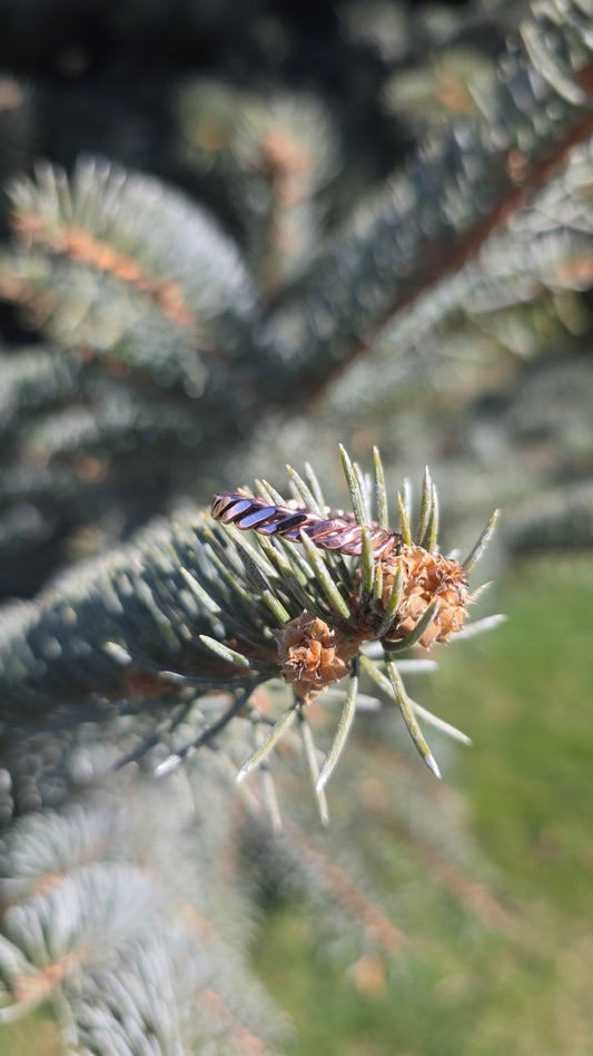 Copperhead Twist Band