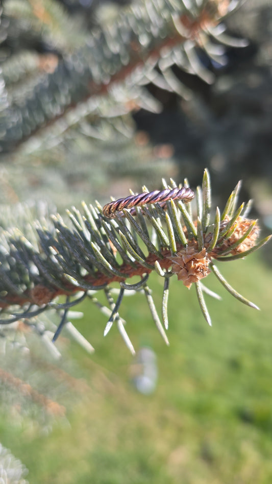 Sunwarmed Twist Band